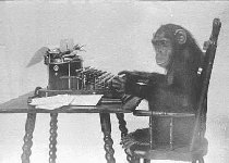 monkey.jpg (8783 bytes)