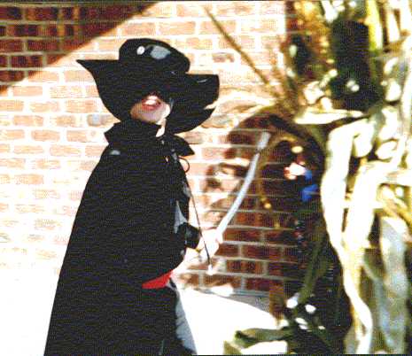 zorro2.jpg (28921 bytes)